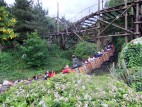 Runaway Minetrain